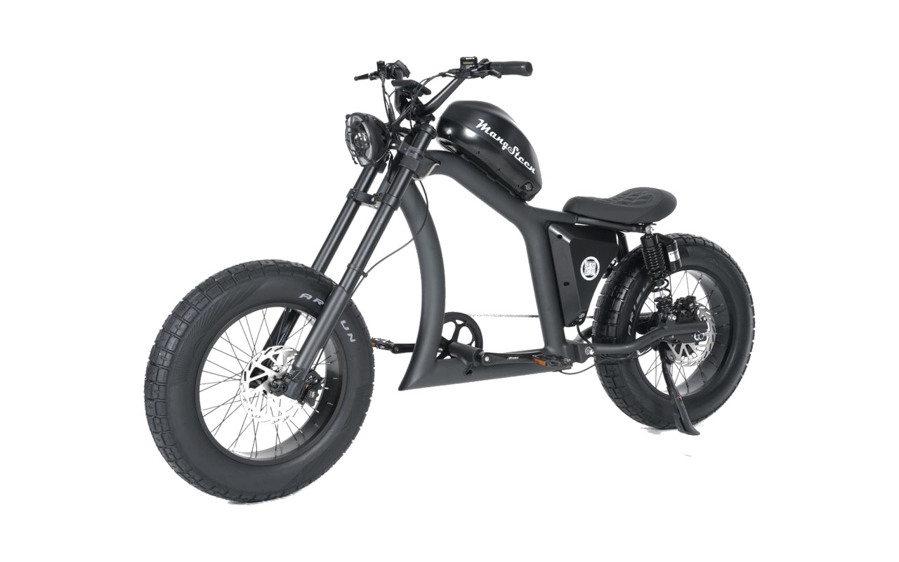 X8 Cruiser Fat-Tire E-Bike
