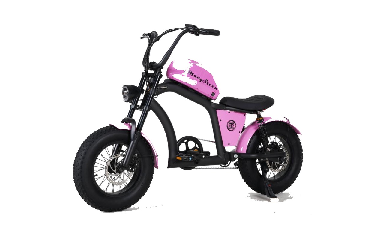 X8 Mini Fat-Tire E-Bike